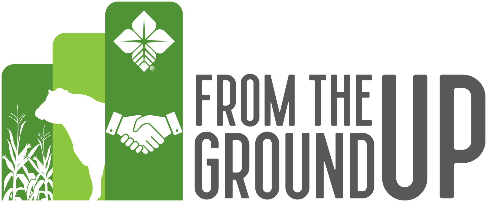  From the Ground Up: Business Toolkit