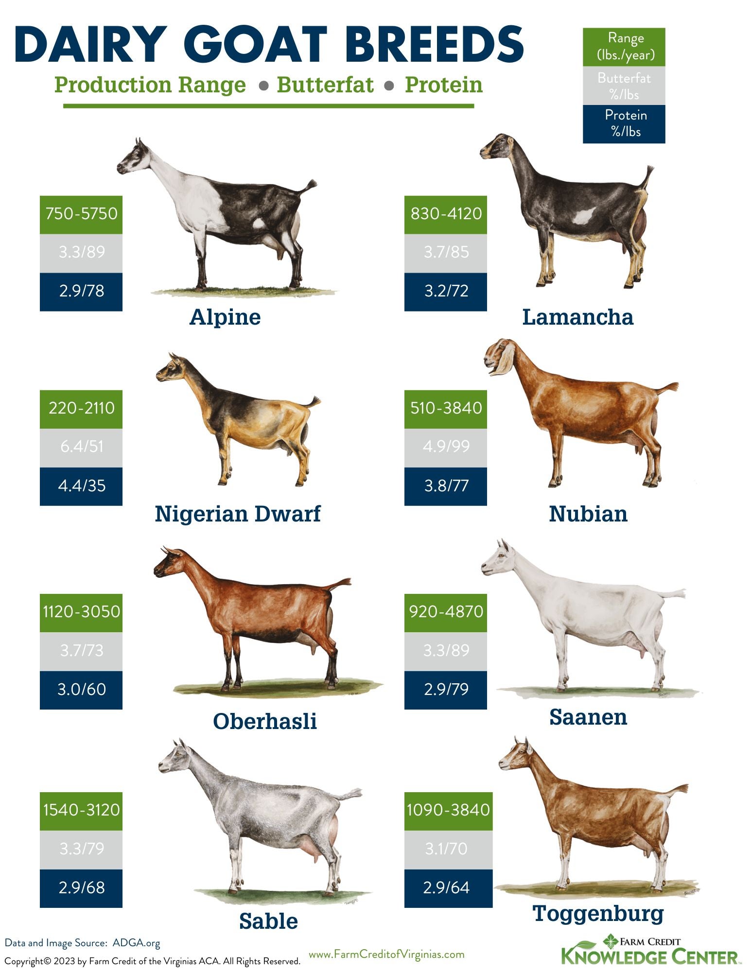 dairy goat breed infographic