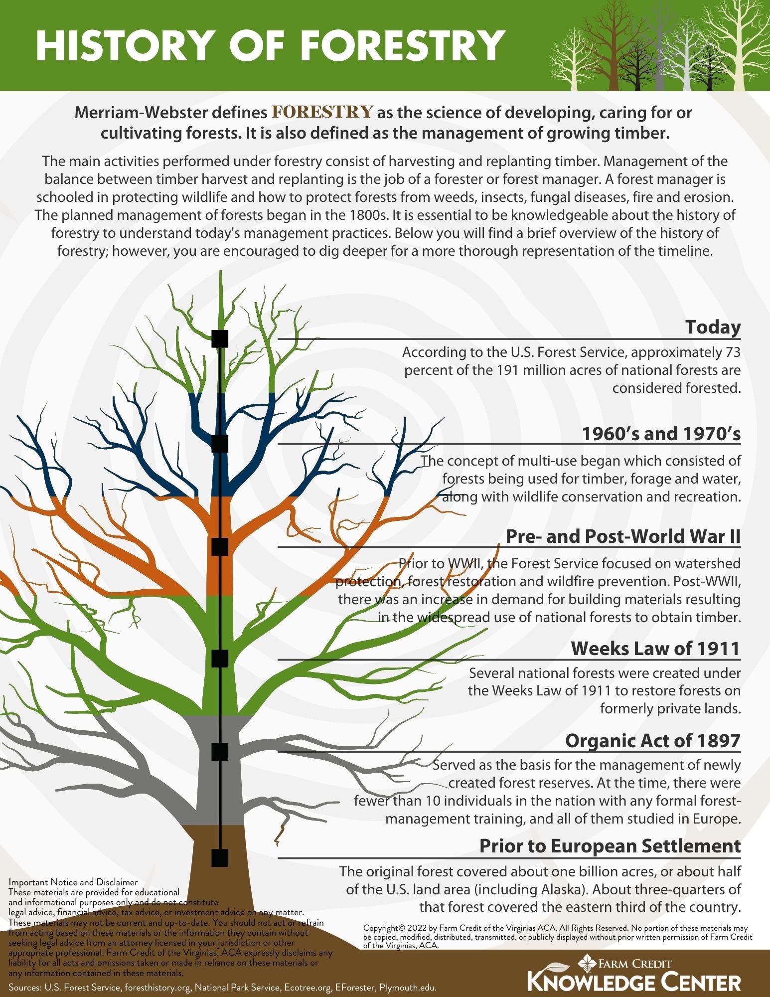 Infographic image of the history of forestry and forestry definitions and forestry terms