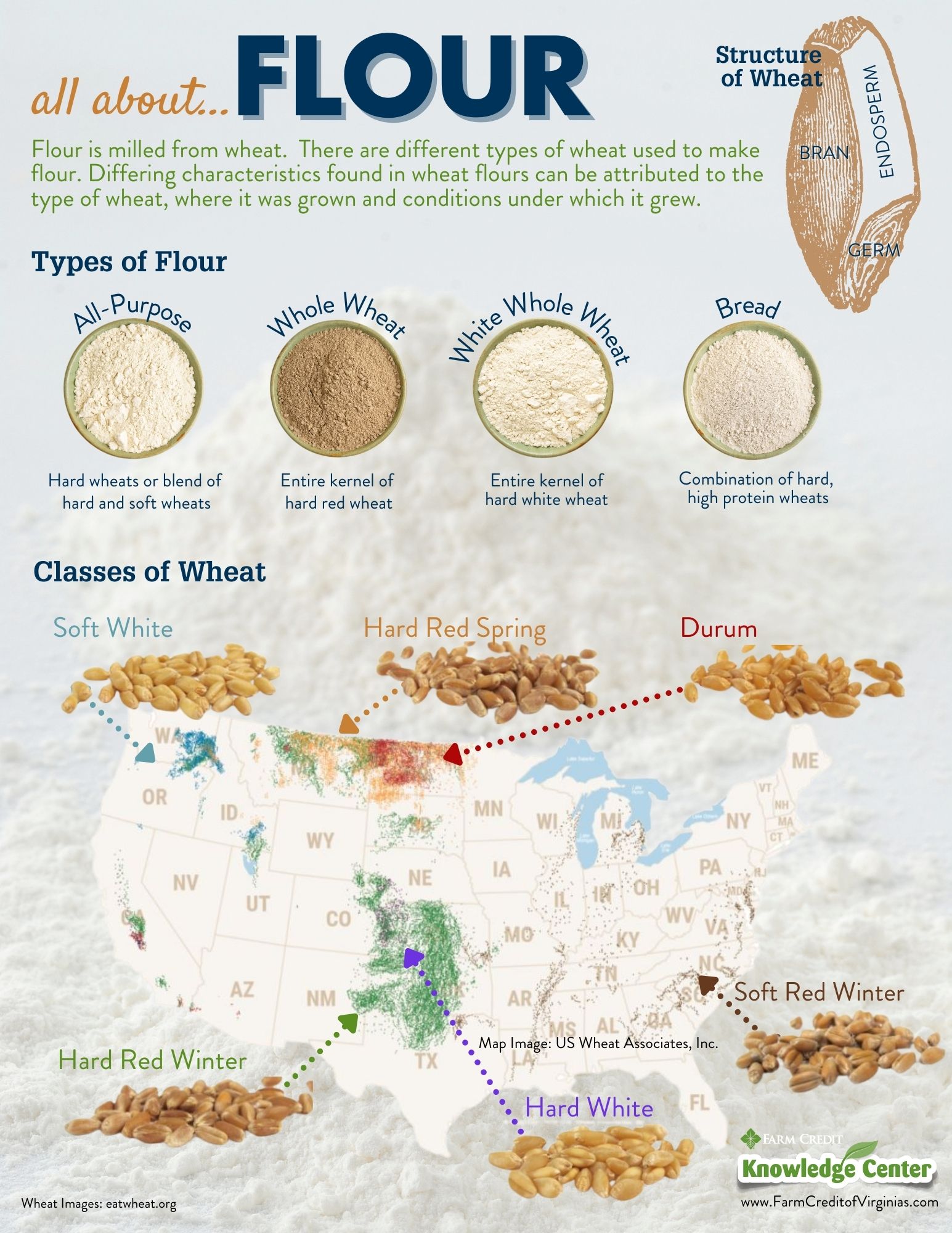 all about...FLOUR | Farm Credit of the Virginias