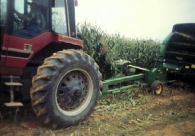 Image of corn being harvested.
