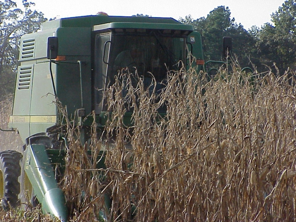 Corn combine image.