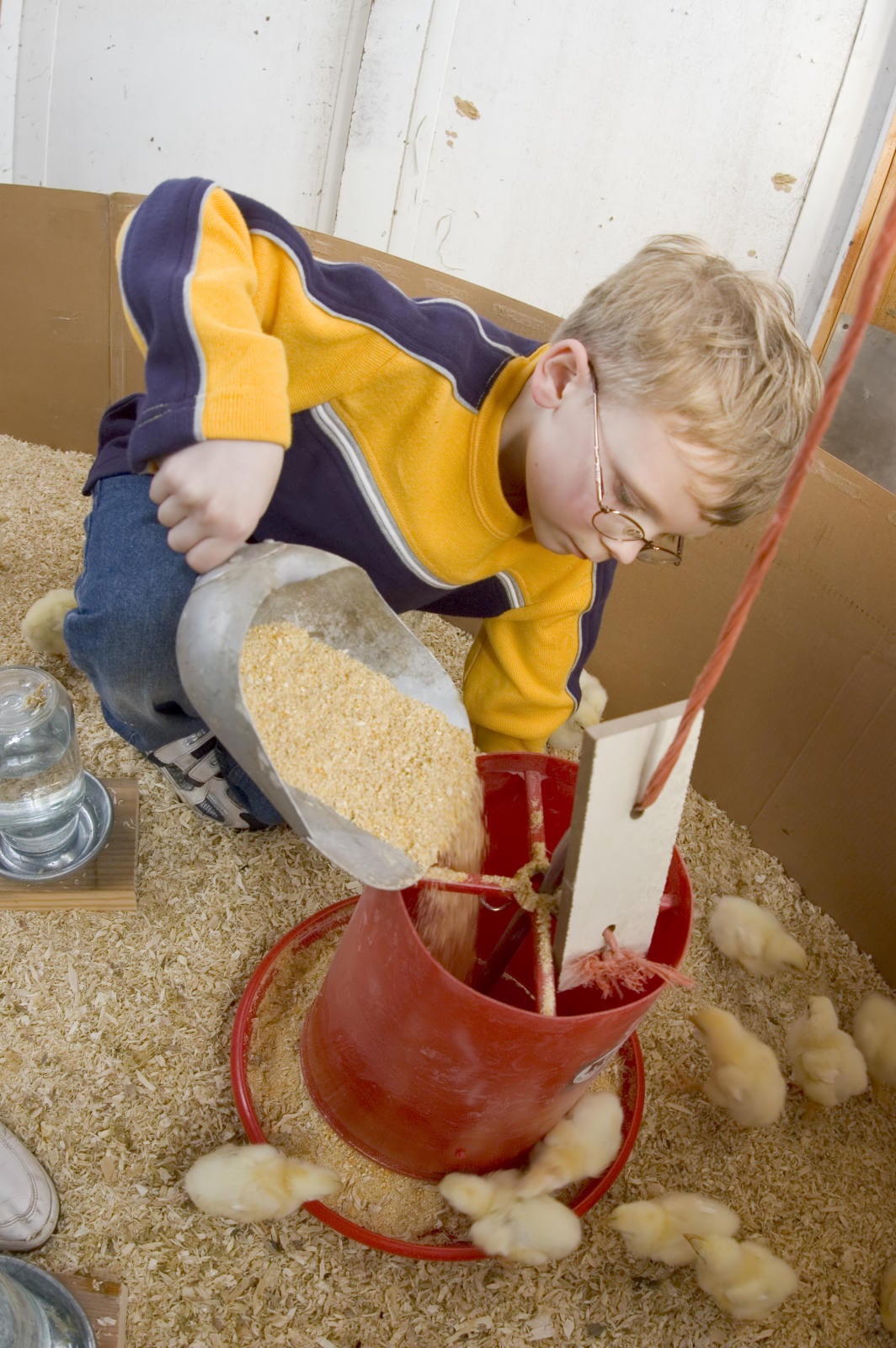 feed filling