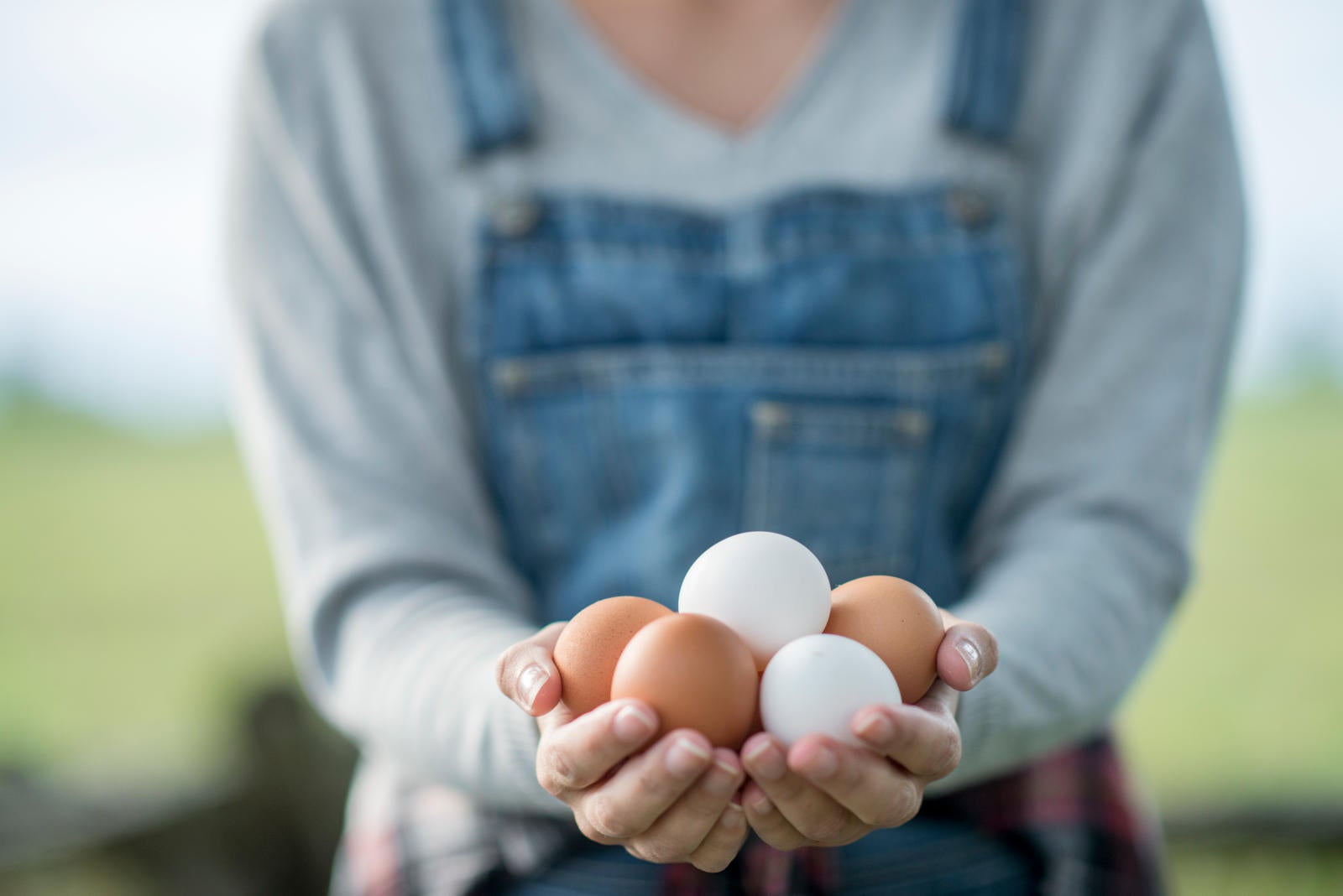 hand with eggs