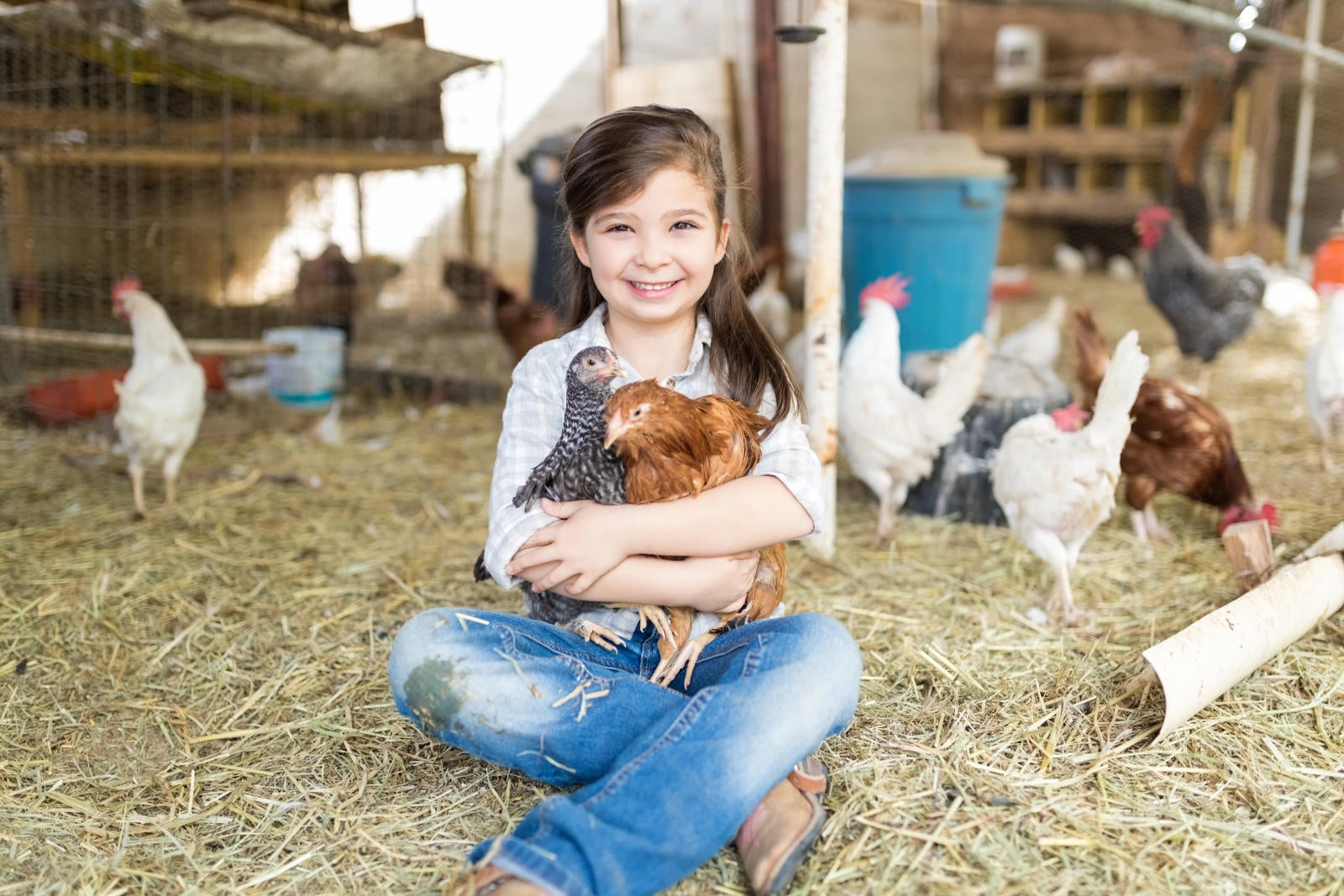 kids with chickens