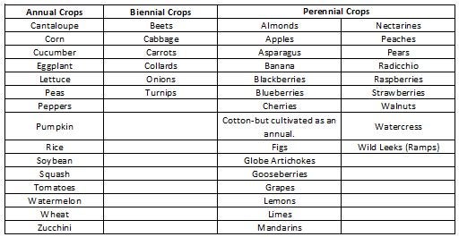 image of crop classification as part of the life cycle of a plant or plant life cycle