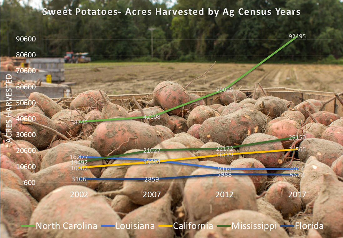 Sweet potato harvest chart