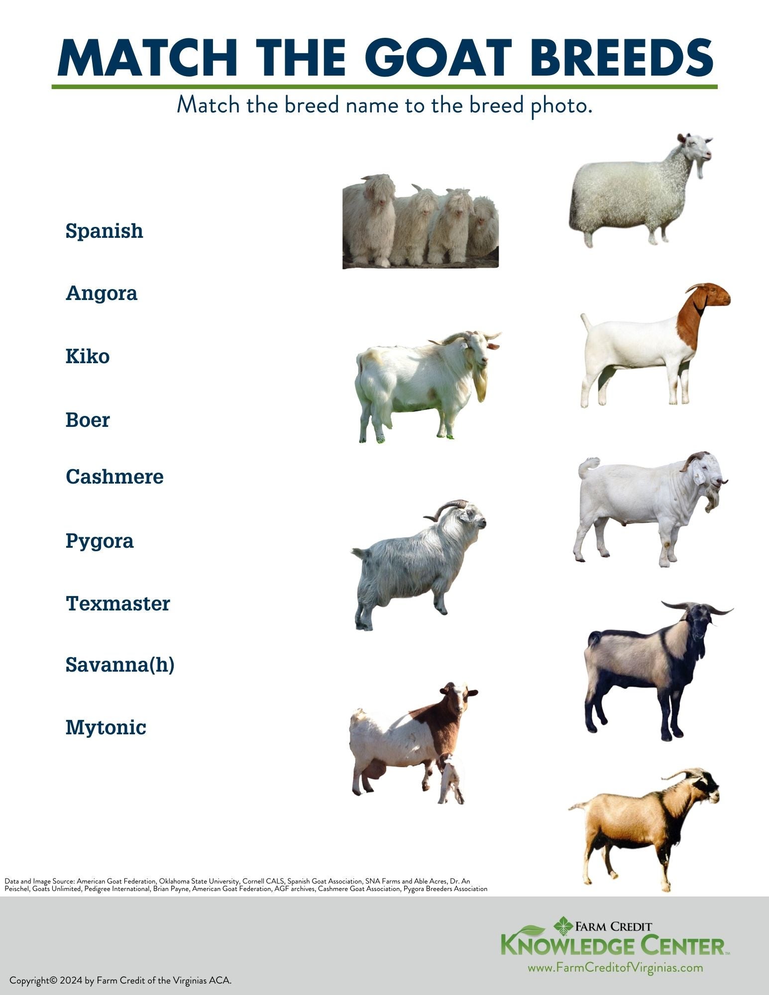 meat and fiber goat worksheet