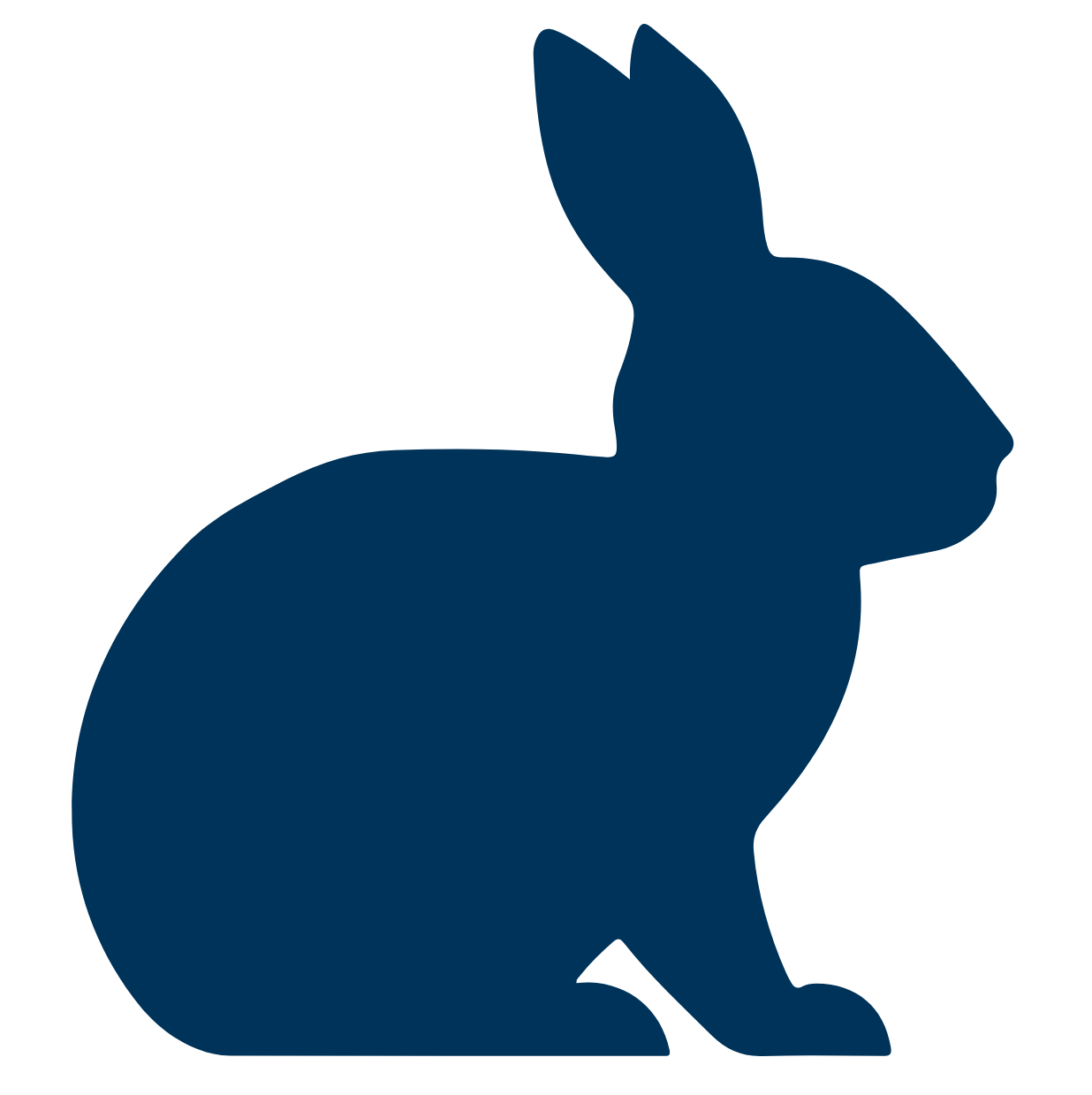 rabbit icon