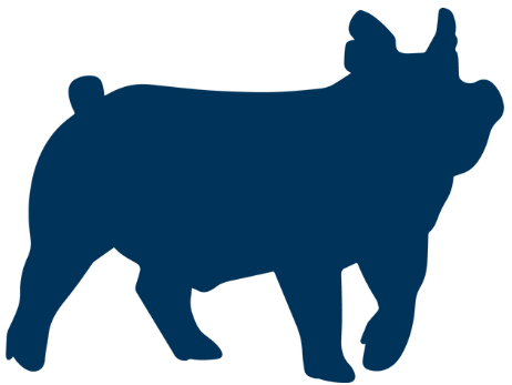 swine icon