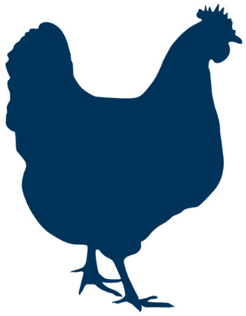 poultry icon