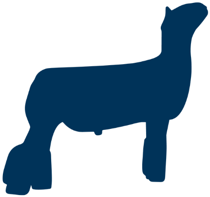 sheep icon