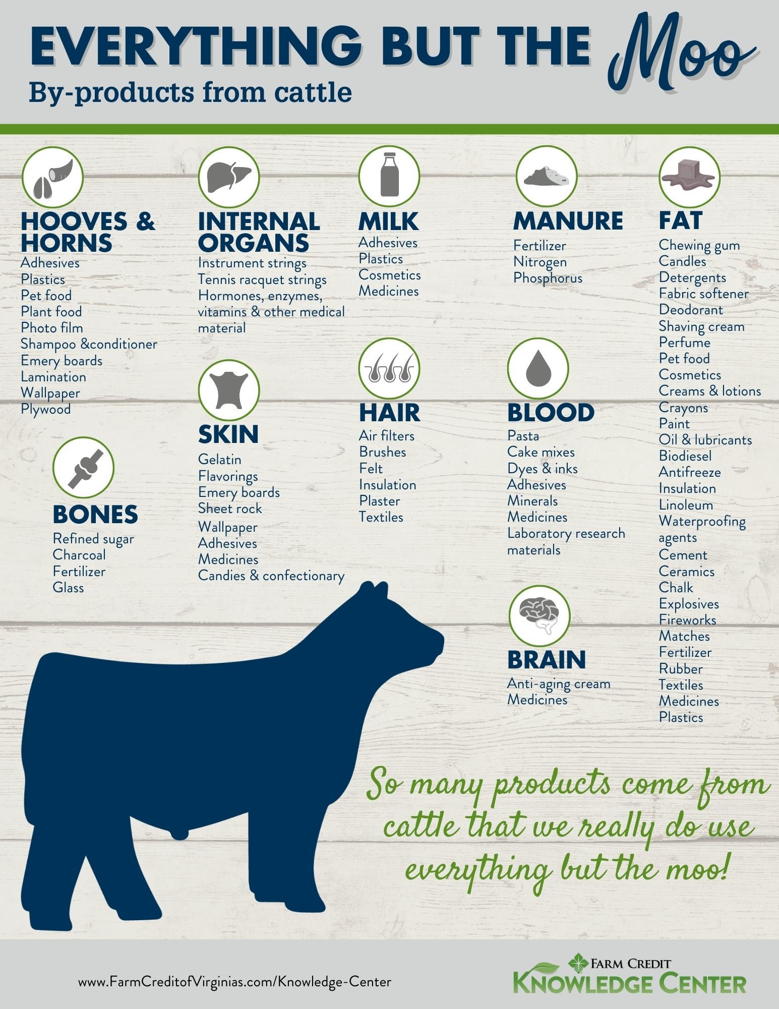 everything but the moo by-products from cattle