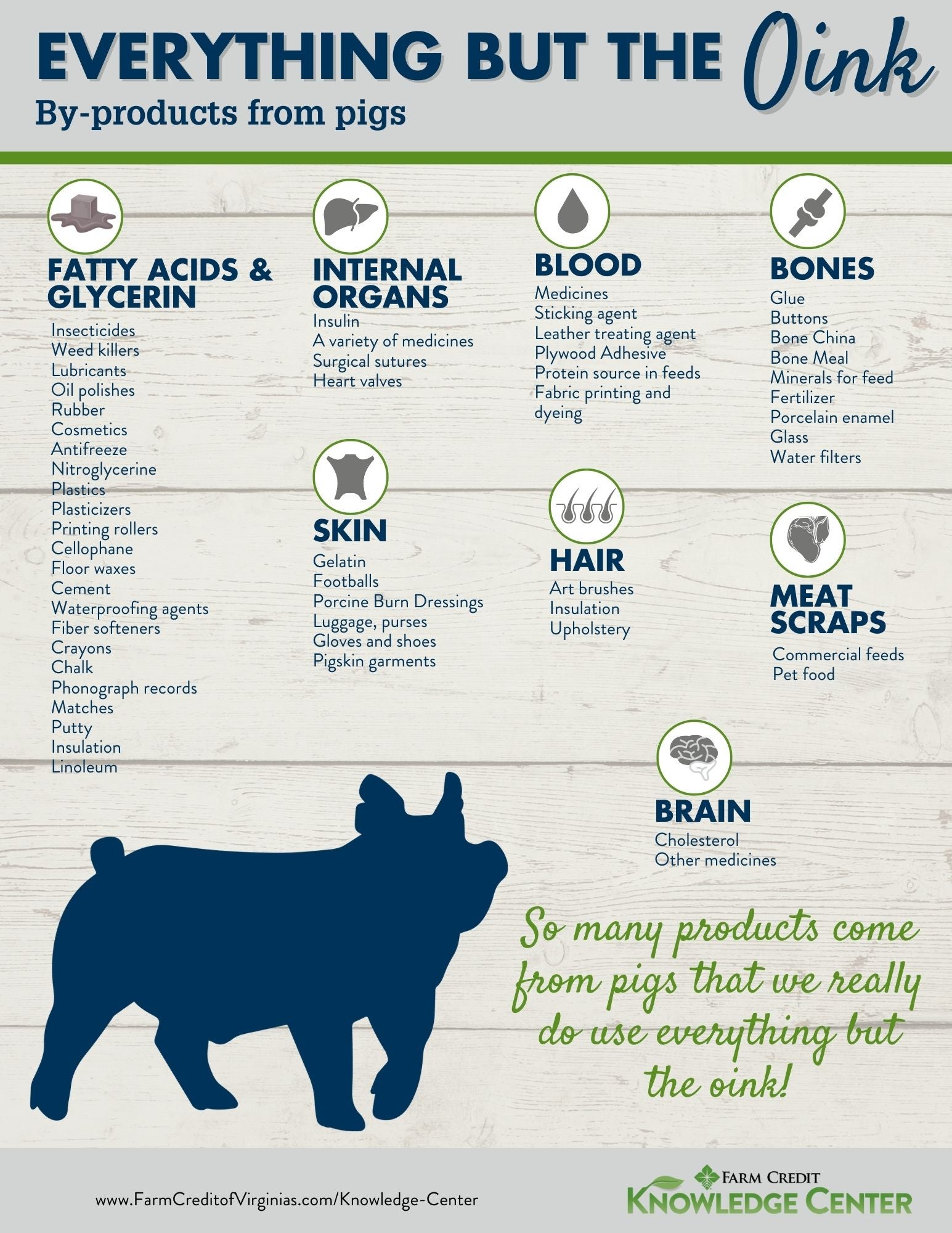 everything but the oink by-products from pigs