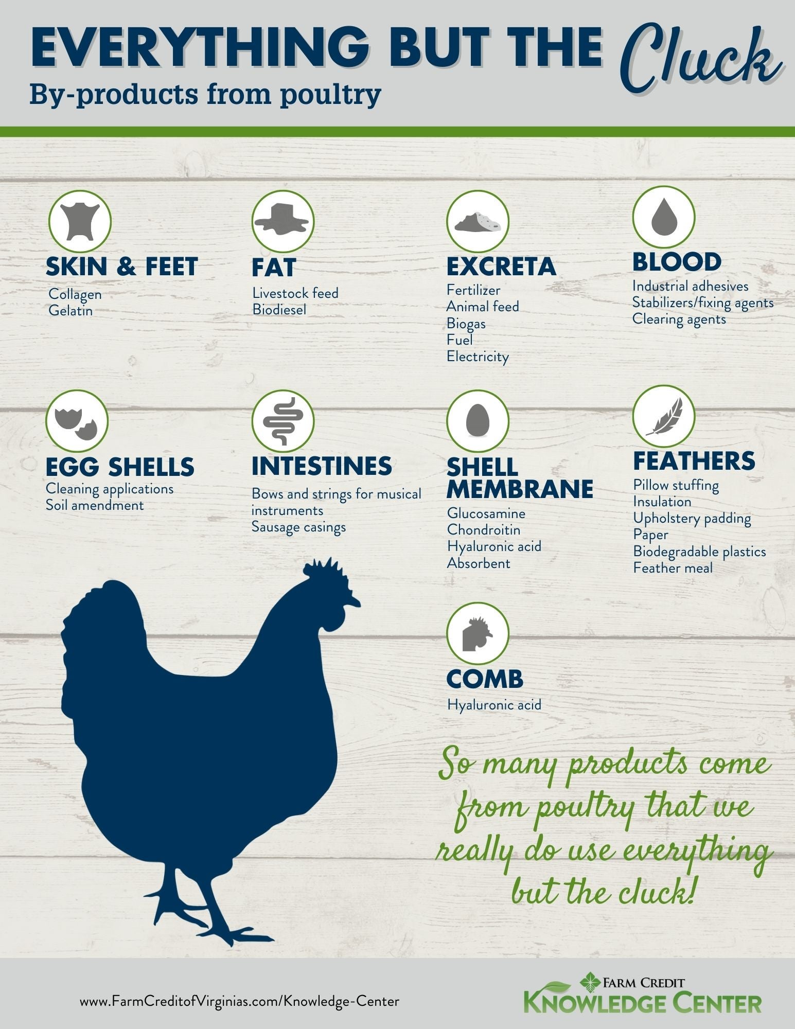 Everything But the Cluck By-Products From Poultry 