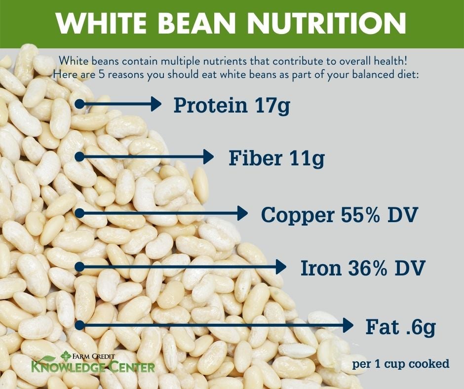 White bean nutrition infographic