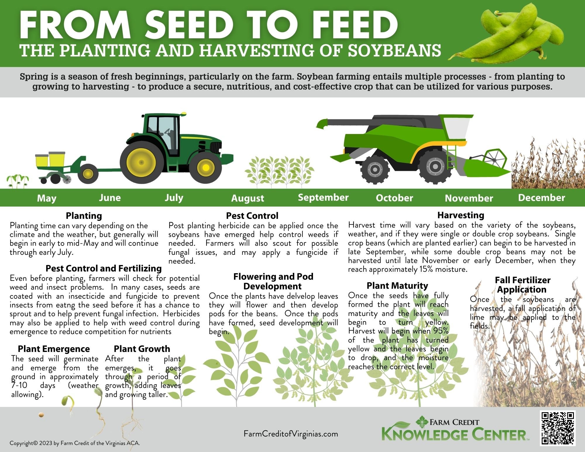 From seed to feed harvesting of soybean infographic