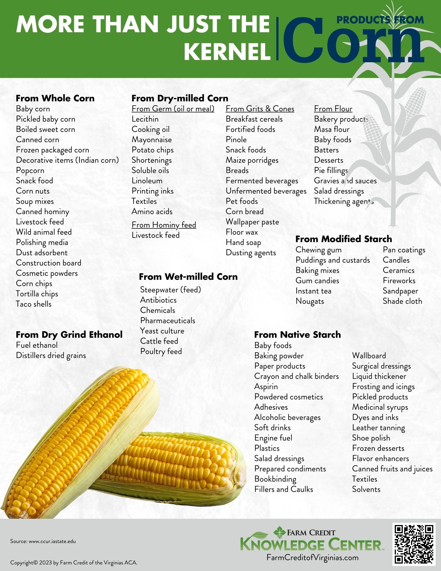 More than just the products from corn infographic