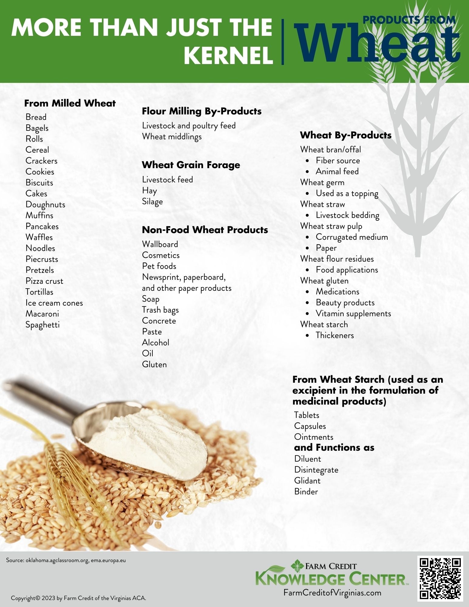More than just the kernel products from wheat infographic