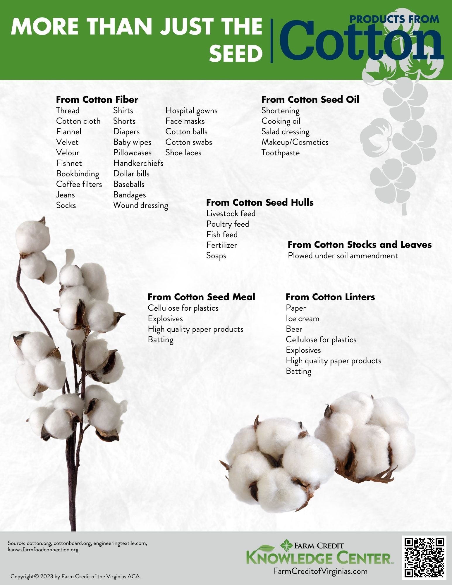 more than just the seed products made from cotton infographic