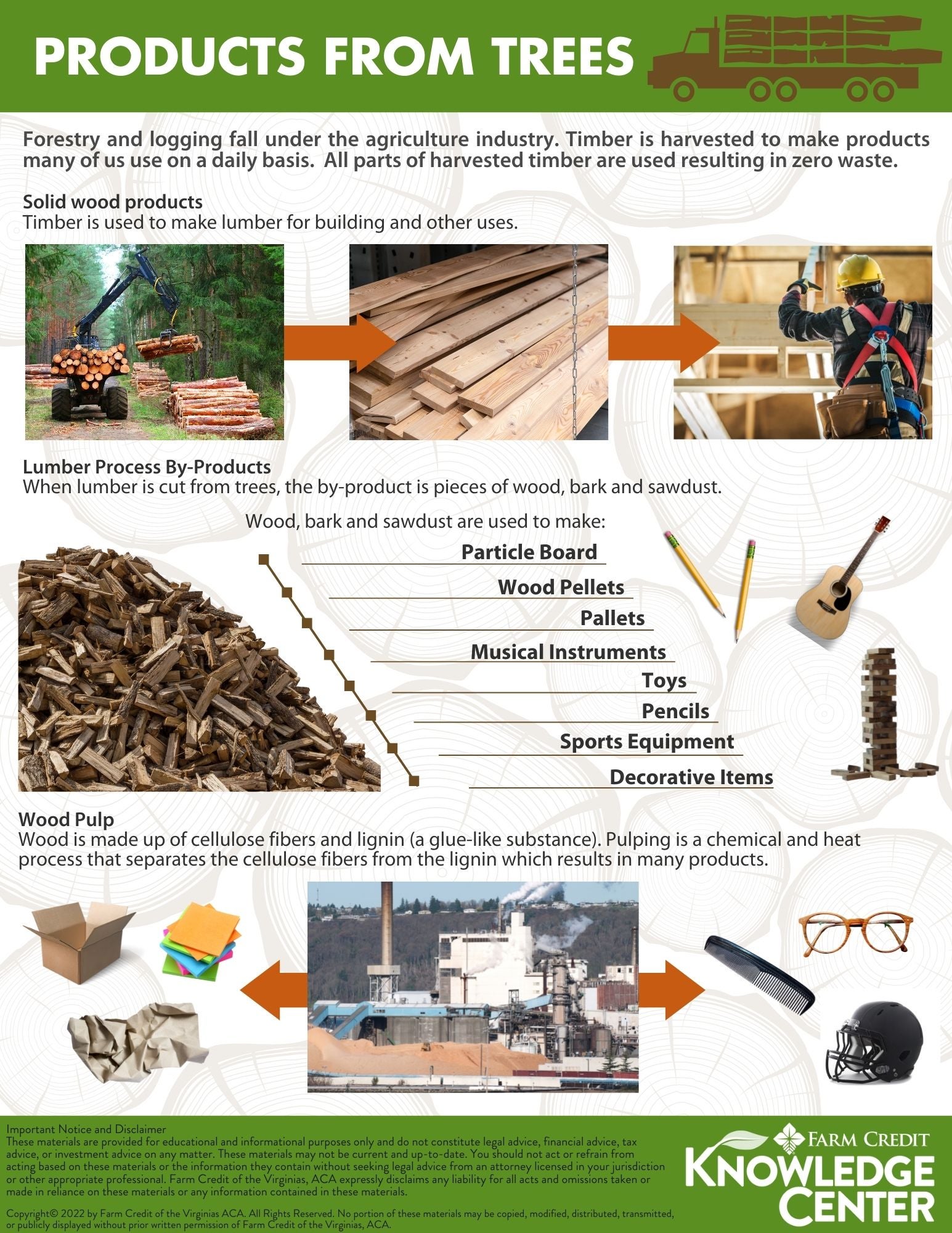 infographic on the products made from trees.