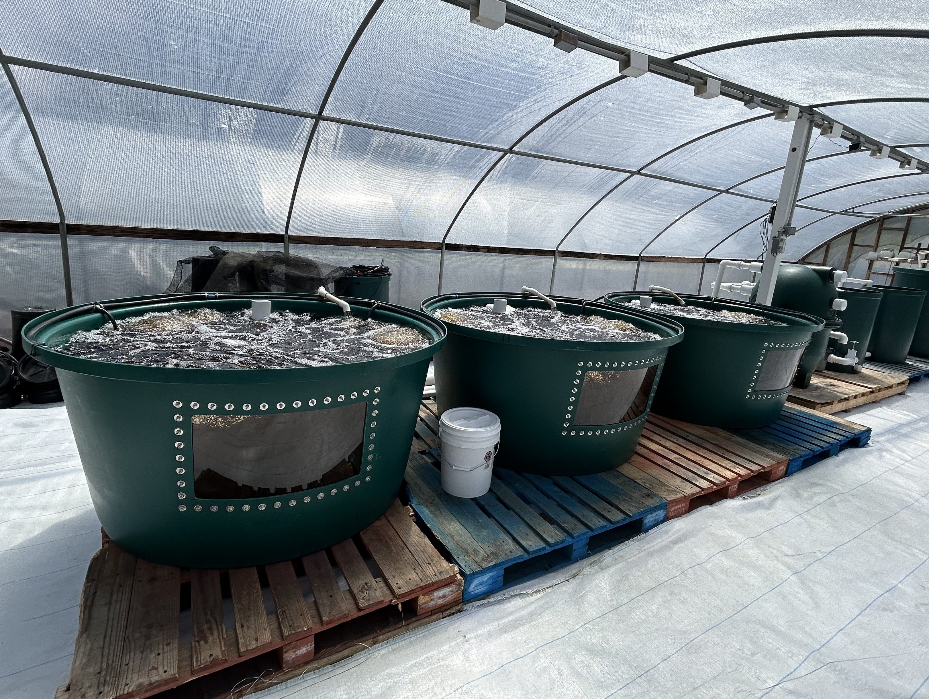 aquaculture fishery