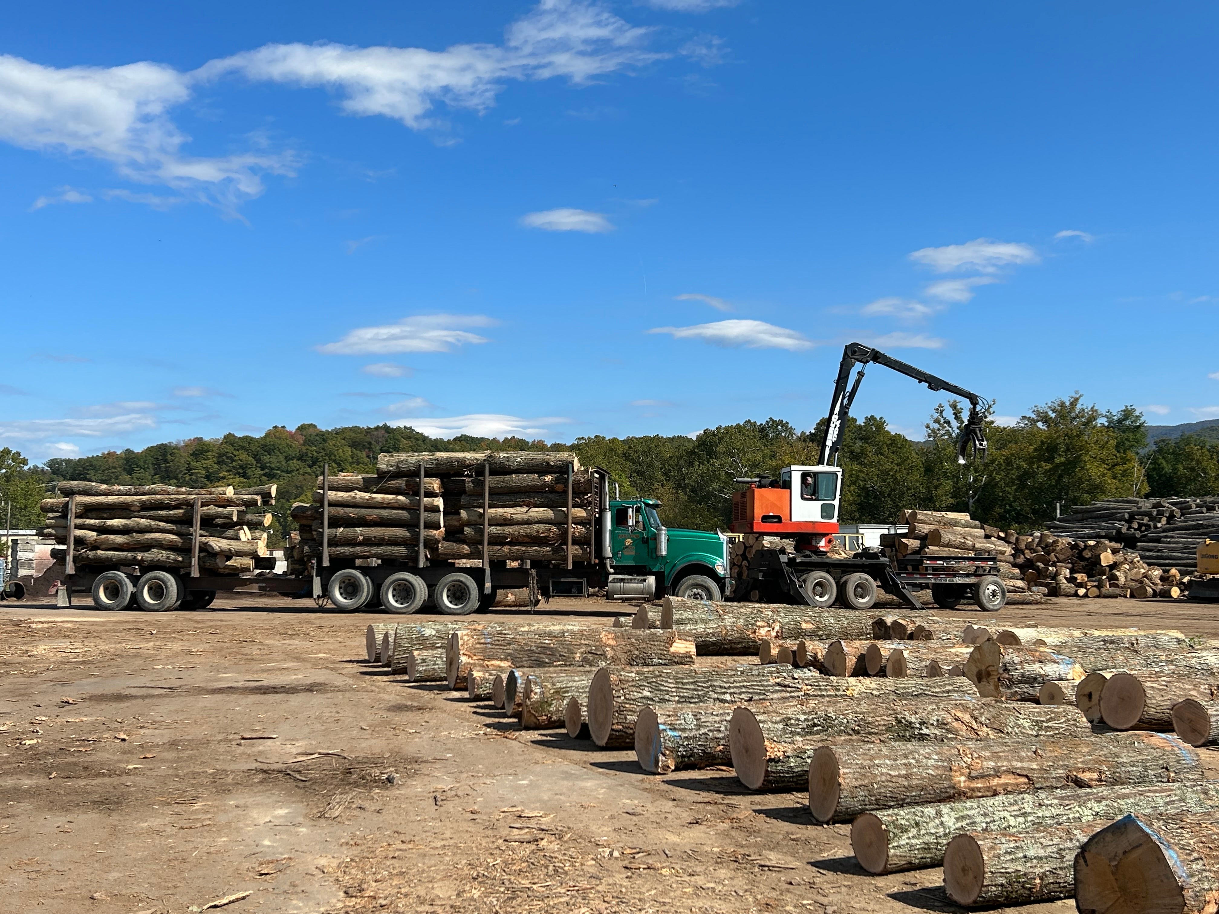 High mountain timber log trucks forestry