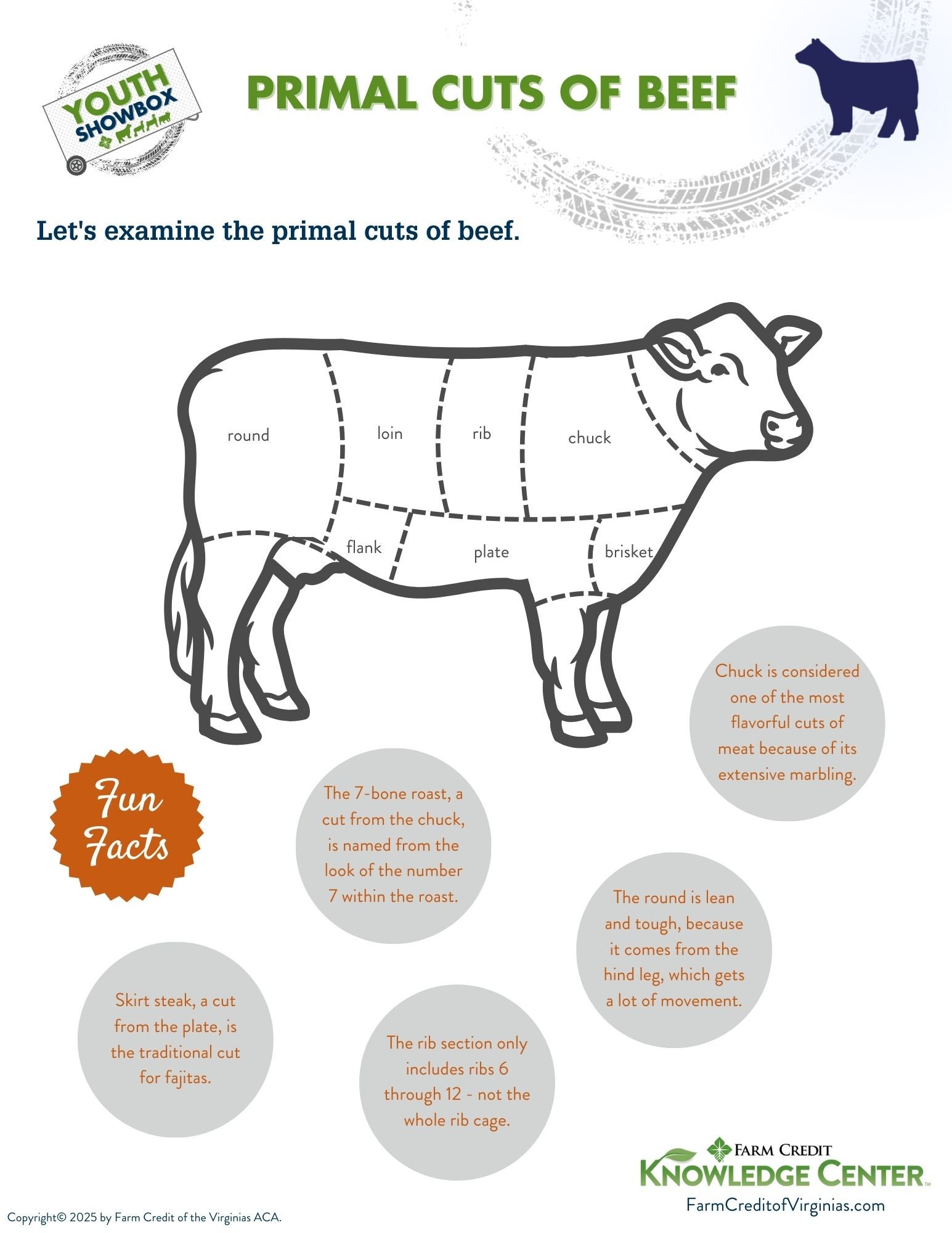 image of primal cuts of beef infographic