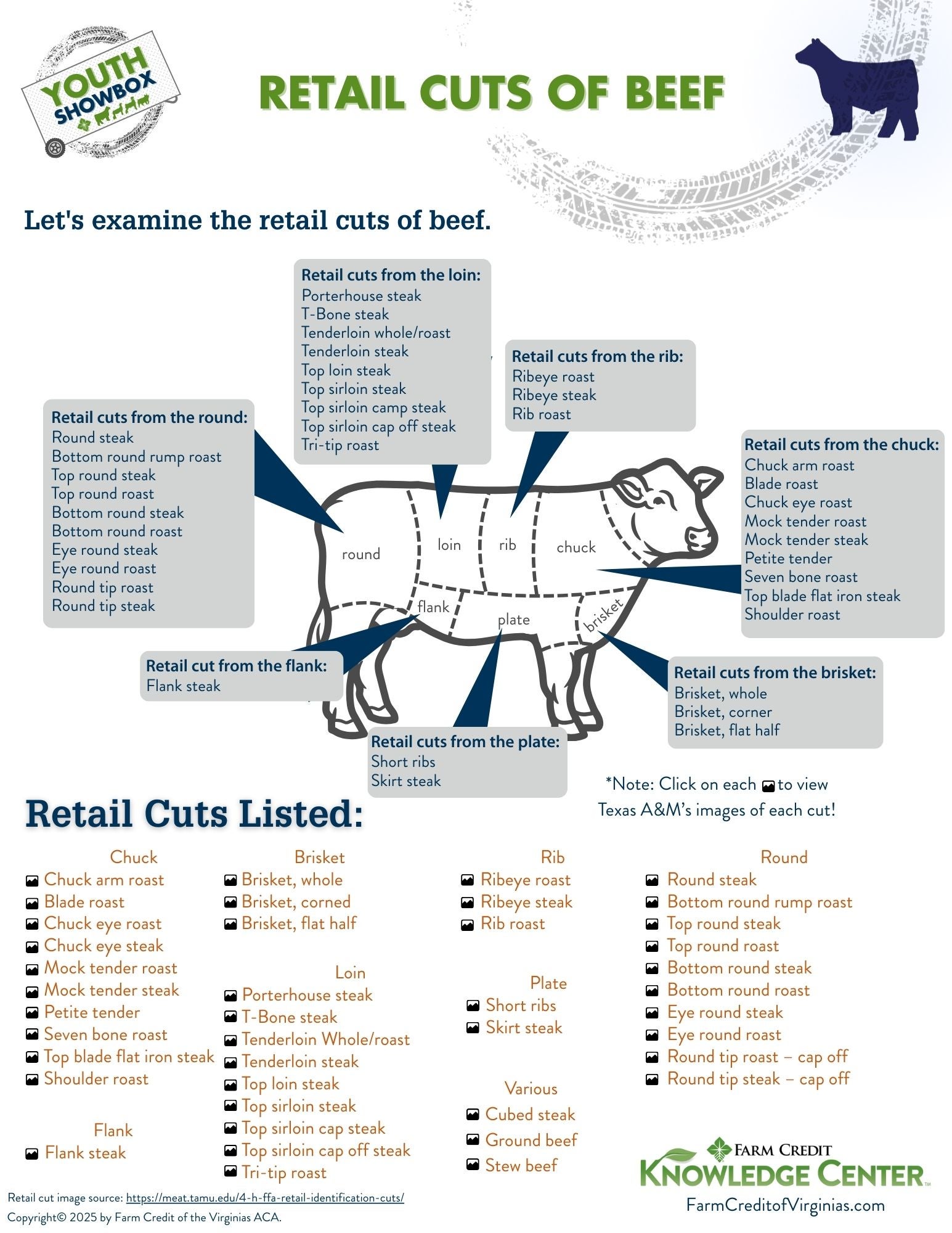 image of retail cuts of beef infographic