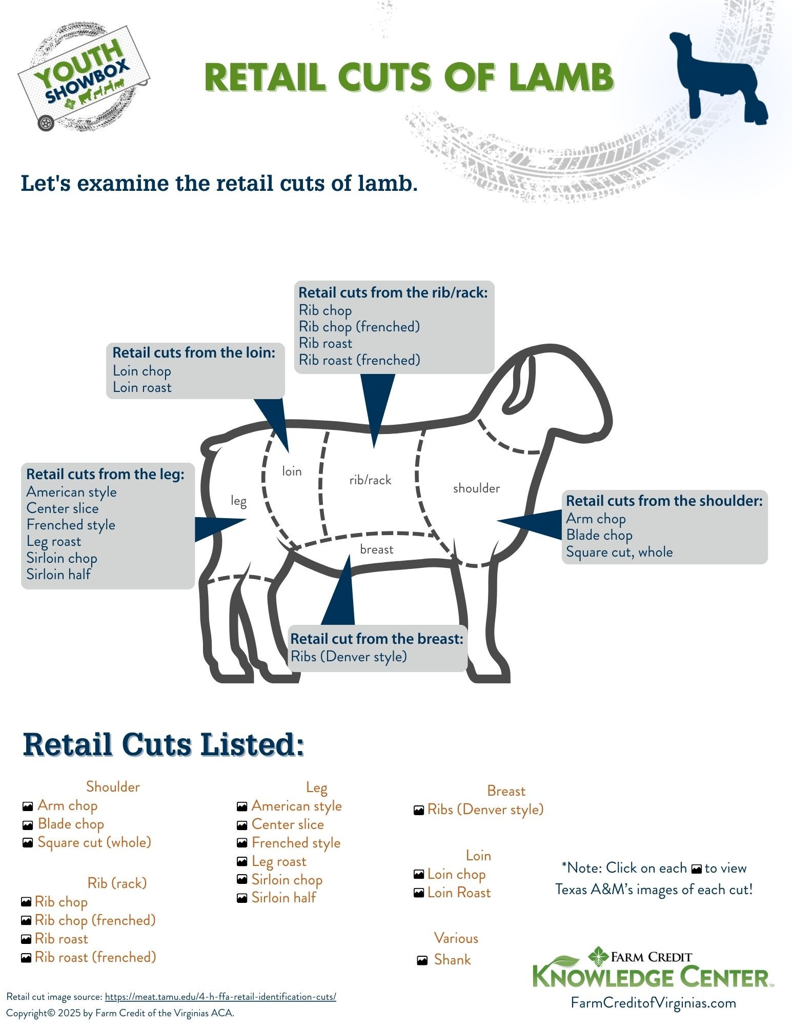 image of retail cuts of lamb infographic