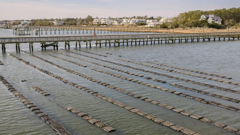 aquaculture farm