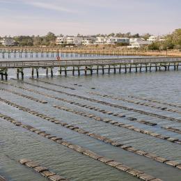 aquaculture farm